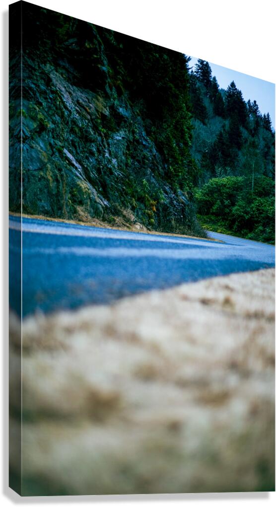 Blue Road Canvas Print