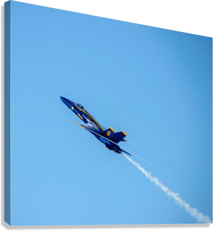 Blue Angel Pullup Canvas Print