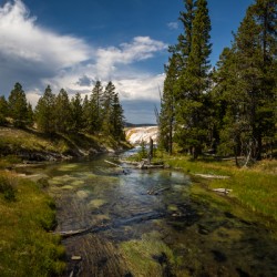 Firehole River Yellowstone Park.