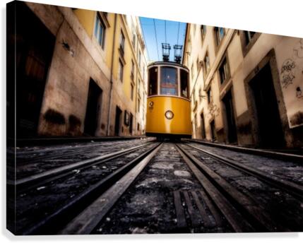 Icon Canvas Print