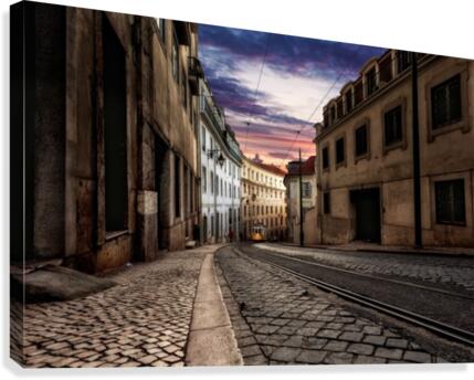 The one Canvas Print