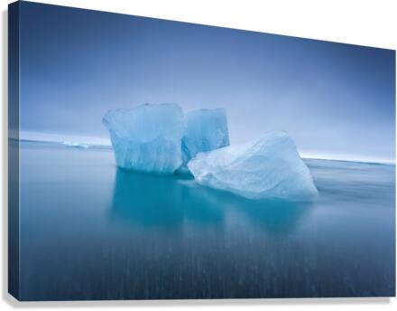 Icebergs Canvas Print