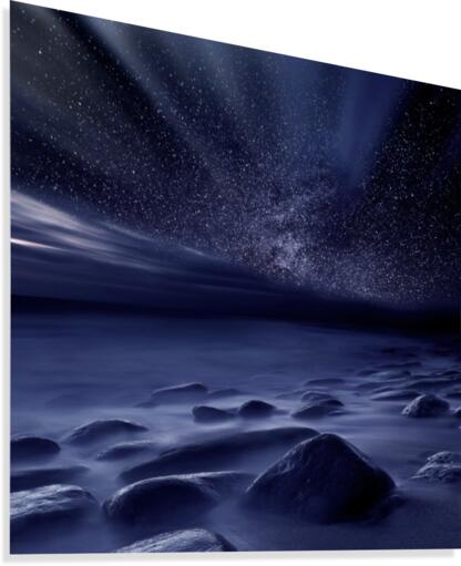 Moonlight Canvas Print