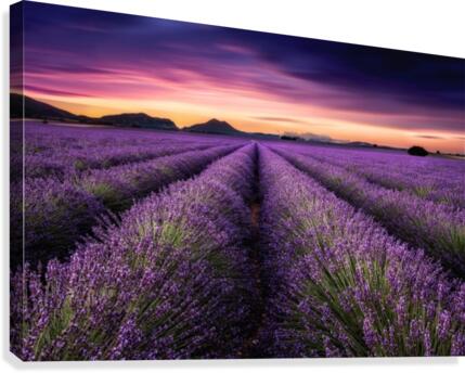 Mindfulness Canvas Print