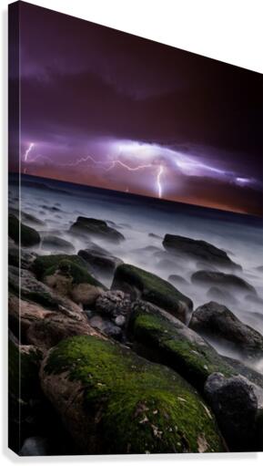 Natures splendor Canvas Print