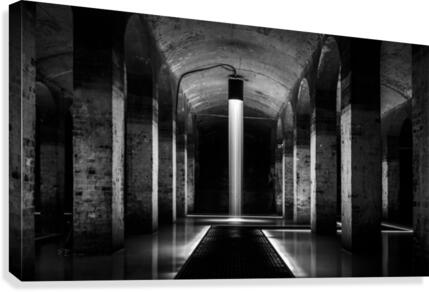 Below the Surface Canvas Print