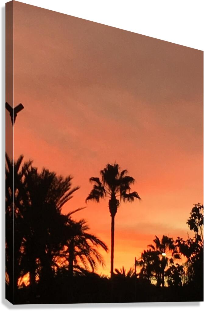 Sunset Time Canvas Print