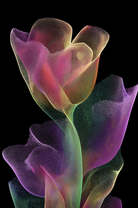 FLORAL 14