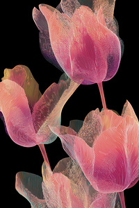 FLORAL 61