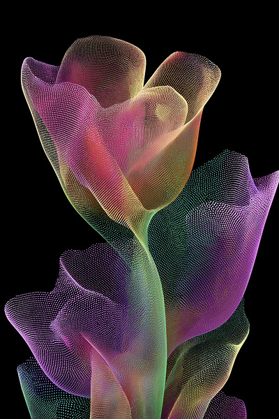 FLORAL 14 Print
