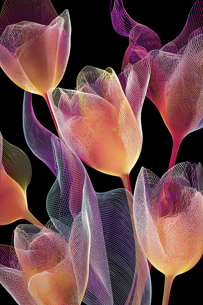 FLORAL 45 Print