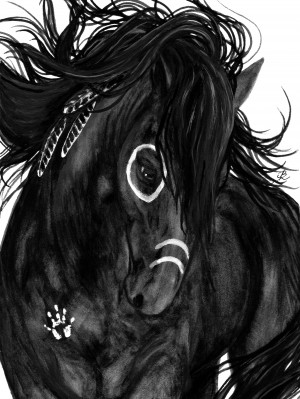 Wild Heart Horse