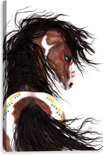 War Pony Canvas Print