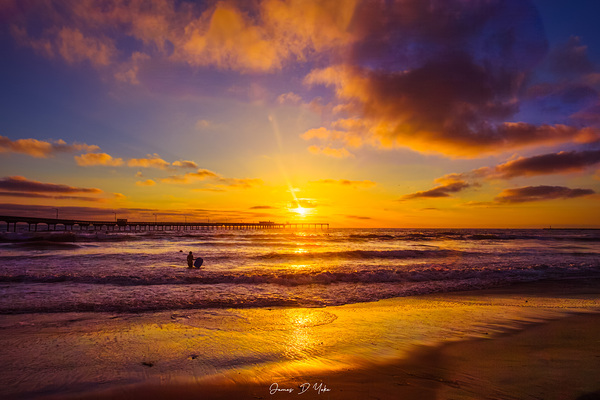 golden san diego sunset by James Yoke
