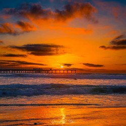 Orange San Diego Sunset