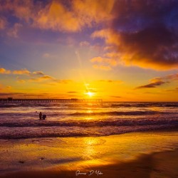 golden san diego sunset