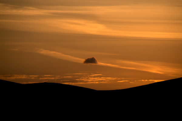 Golden Silhouette by Jim Fitzpatrick