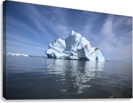 Iceberg Canvas Print