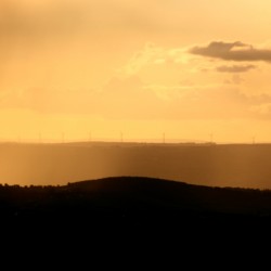 Golden Skies