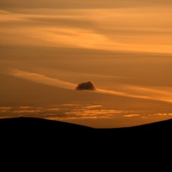Golden Silhouette