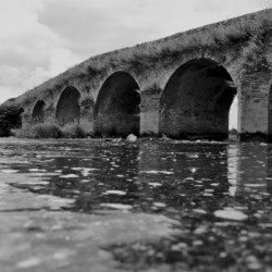 Nature takes on the bridge