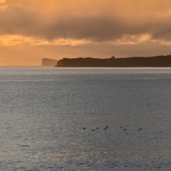 Calm Seas