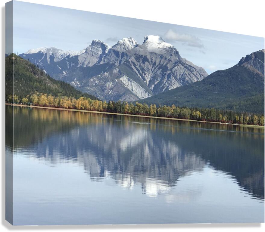 Whiteswan Lake Canvas Print