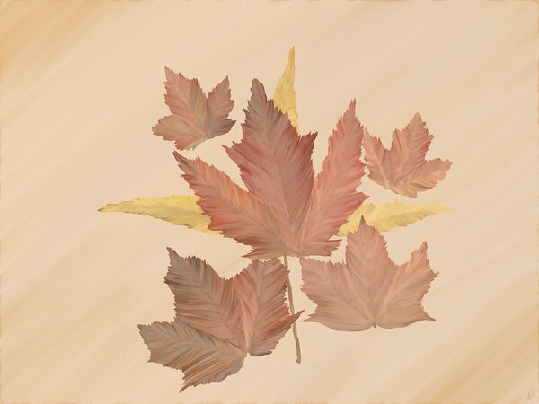 Jenny 55.5x 42 in by Apollo captures