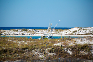 tower over the dunes