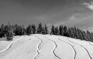 Winter Tracks