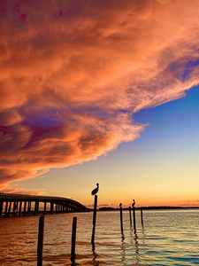 Under the bridge sunset