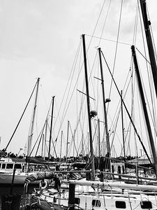 Sailboats BW