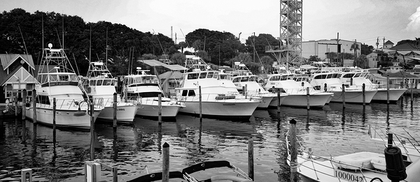 Charter Fleet 3 Print