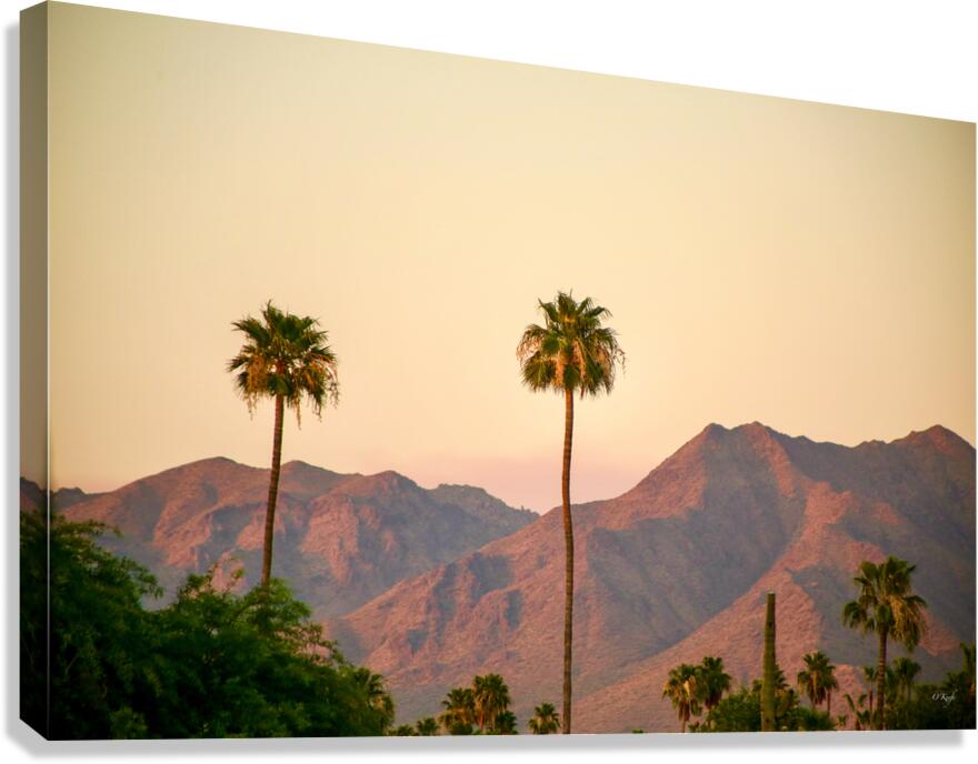 Arizona Canvas Print