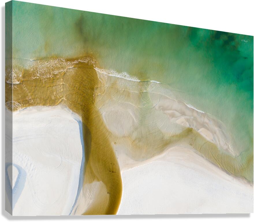 DJI 20240202071605 0192 D Canvas Print