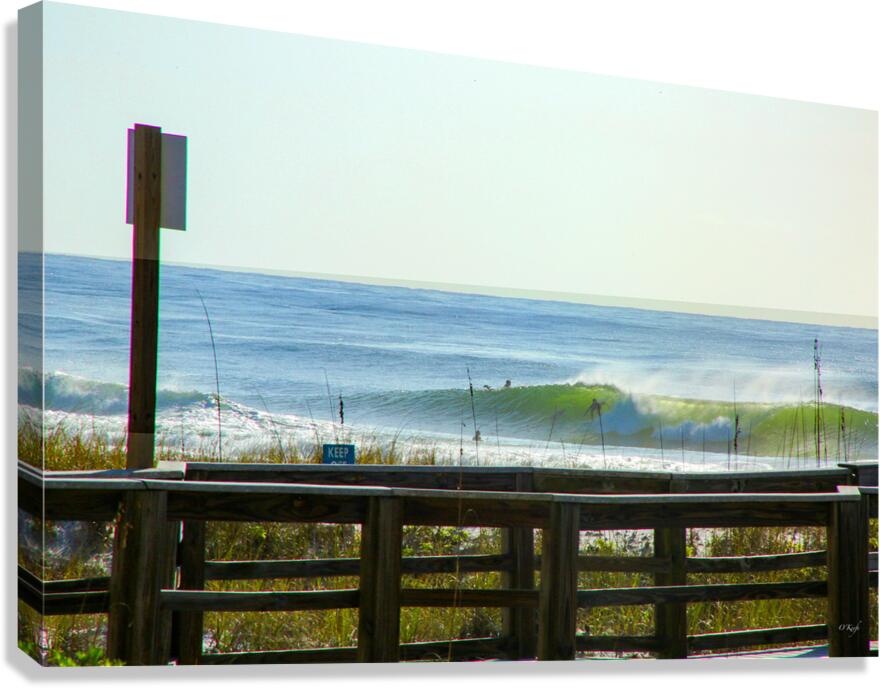 DELSOLLL Canvas Print