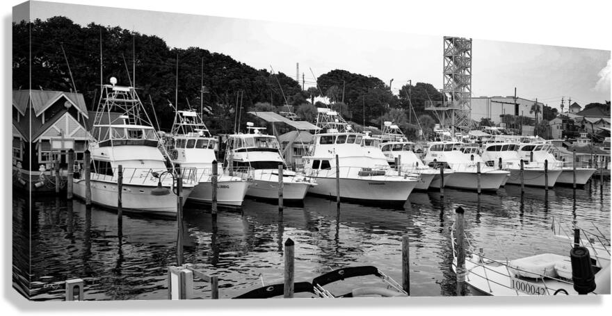 Charter Fleet 3 Canvas Print