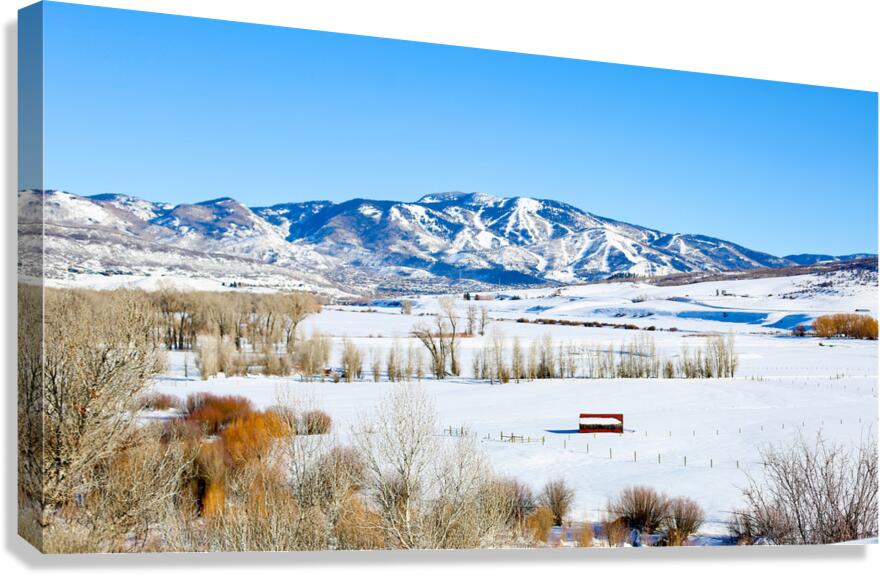 Steamboat Springs 2 Canvas Print