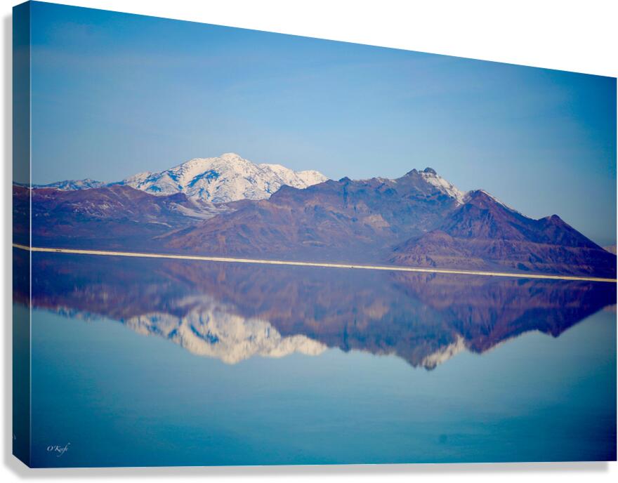 Salt Flats Canvas Print