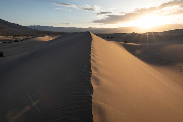 Mesquite Flat Sunset by Andre Stockwell