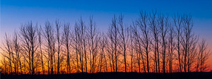 Sunrise on Fourmile Creek