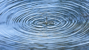 Dragonfly on Water