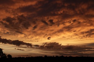 Sunrise 1
