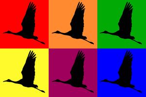 Pop Art Cranes  1