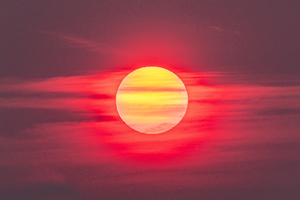 Blinded By the Light 