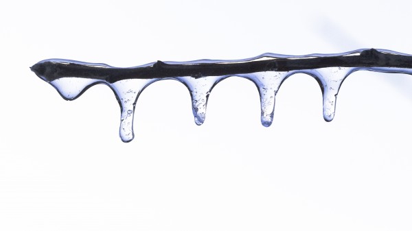Twig on Ice Print