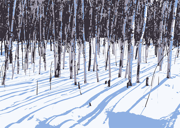 Birch Shadows on Snow by Joe Riederer
