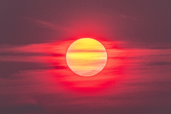 Blinded By the Light  Print