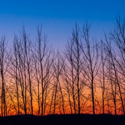 Sunrise on Fourmile Creek
