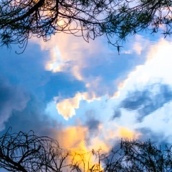 Cloud Reflections  on a Northwoods Lake